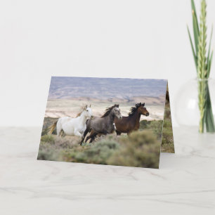 Tre stolar som kör Vild Horse Greeting Card Kort