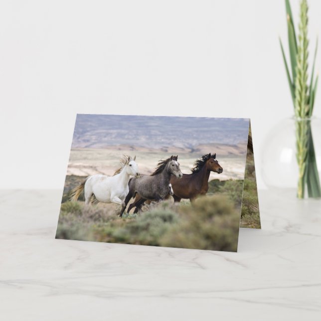 Tre stolar som kör Vild Horse Greeting Card Kort (Framsida)