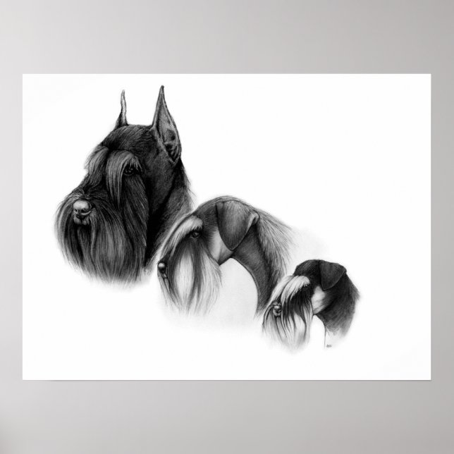 Tre storlekar POSTER (Framsidan)