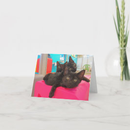 Tre svart kattungar kort