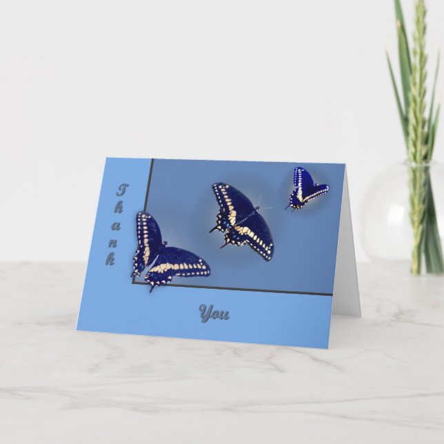 Tre svart Swallowtail Tack Kort (Framsida)