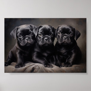 Tre svarta hundvalpar poster
