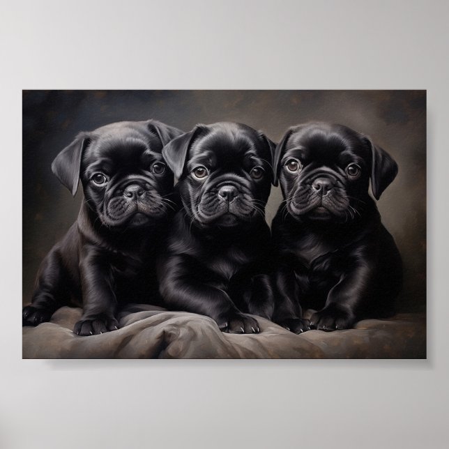 Tre svarta hundvalpar poster (Framsidan)