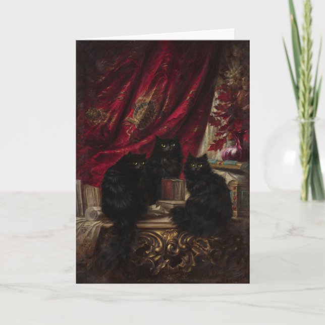 Tre svarta katter kort (Framsida)