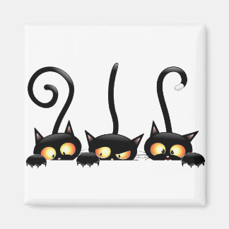 Tre svarta katter magnet
