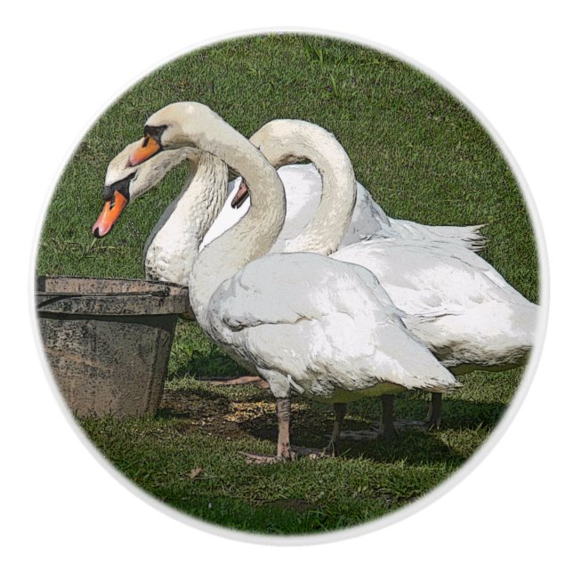 TRE SWANS/PHOTOG.WITH DIGITALA EFFEKTER KNOPP (Framsidan)