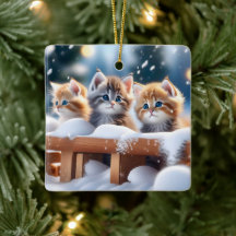Tre Tabby katt i Snö