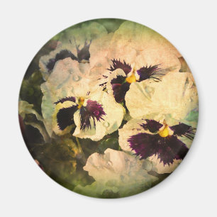 Tre (texturerade) vitPansies, Magnet