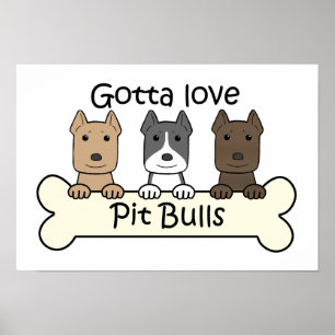 Tre tjurar poster