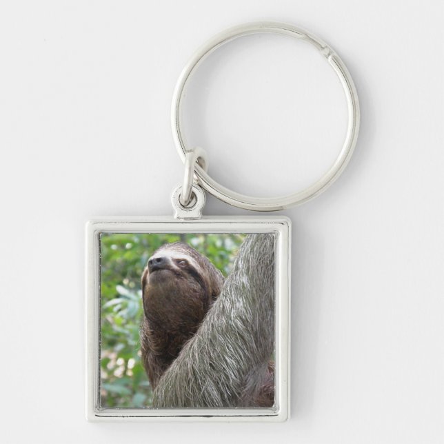 Tre Toed Sloth Keychain Fyrkantig Silverfärgad Nyckelring (Framsidan)