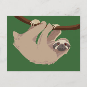 Tre toed Sloth Vykort
