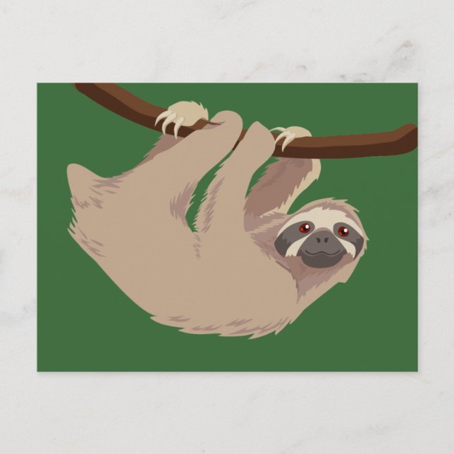 Tre toed Sloth Vykort (Framsida)