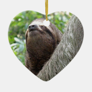 Tre Toed Slothprydnad Julgransprydnad Keramik