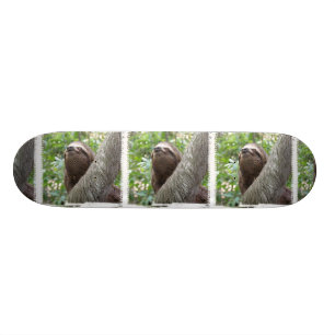 Tre Toed SlothSkateboard Skateboard Bräda 20,5 Cm