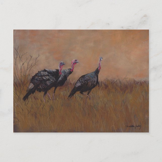 Tre Toms Wildlife Art-vykort Vykort (Framsida)
