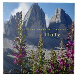 Tre toppar av Italien Lavaredo Wildblommor Kakelplatta
