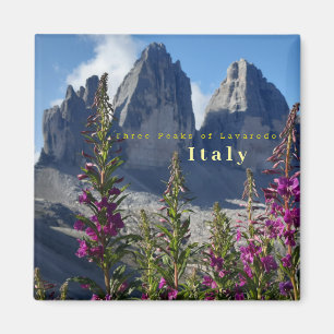 Tre toppar av Italien Lavaredo Wildblommor Magnet