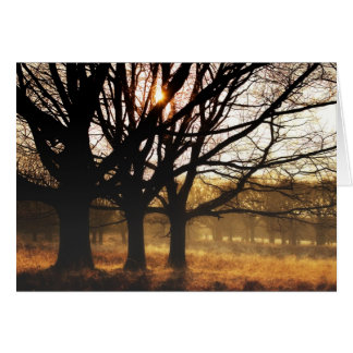 Tre Träd Hälsningskort