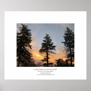 Tre Träd vid Winter Sunset Poster