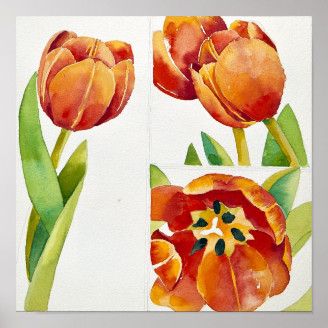 Tre tulipstudier under 2013 poster (Framsidan)