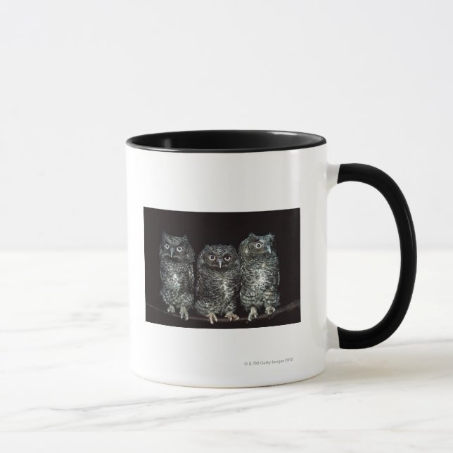 tre ugglor mugg (Höger)