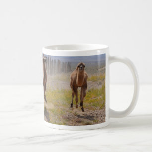 Tre unga kamel kaffemugg