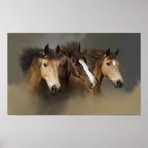 Tre utskrifter av vild Horses Poster