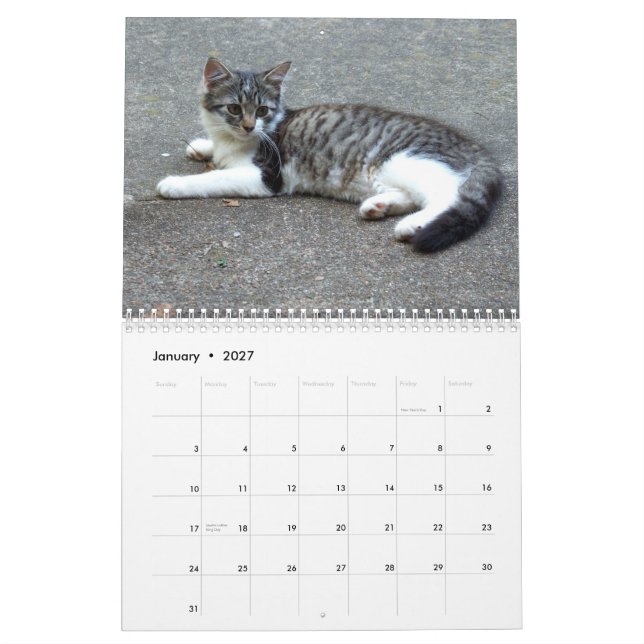 Tre vildkattungar kalender (Jan 2027)