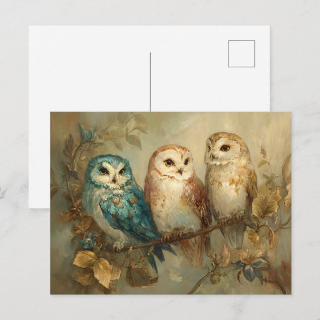 Tre viskare Uggla på Gren Vykort (Fram/baksida)