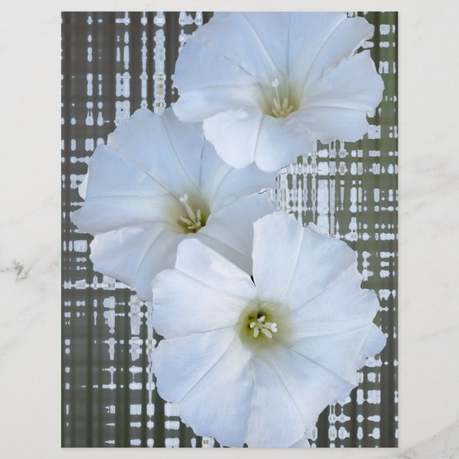 tre vita blommor (Framsida)