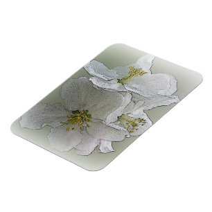 tre vita blommor magnet