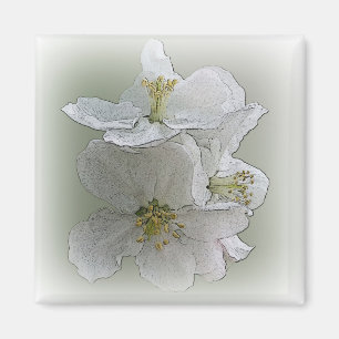 tre vita blommor magnet