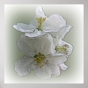 tre vita blommor poster