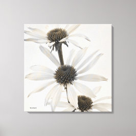 Tre vita tonblommor canvastryck