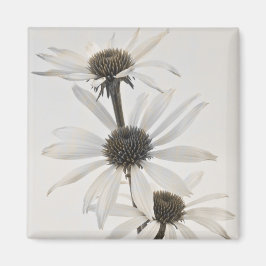 Tre vita tonblommor magnet