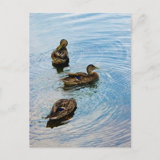 Tre Vykort (Framsida)