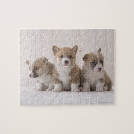 Tre Welsh Corgi Pussel