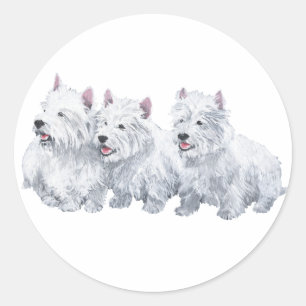Tre West Highland White Terriers Runt Klistermärke