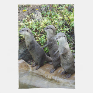 Tre Wise Otters, Tea Towel Kökshandduk