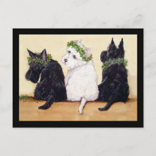 Tre Wise Terriers Vykort