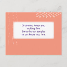 Treasure Hunt Game - Clue #2 - Hairbrush Vykort