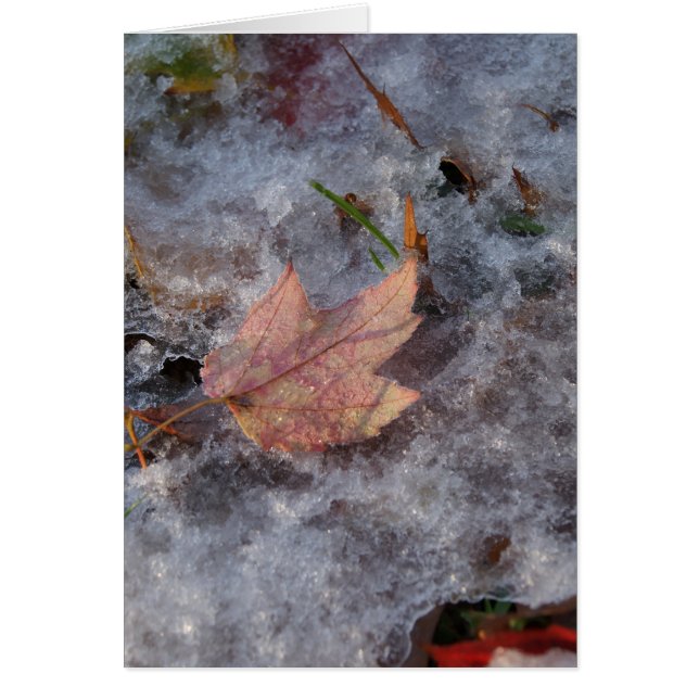 "Treasure in Ice" OBS Kort (Framsidan)