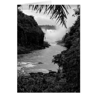 Treasure in the Jungle OBS Kort