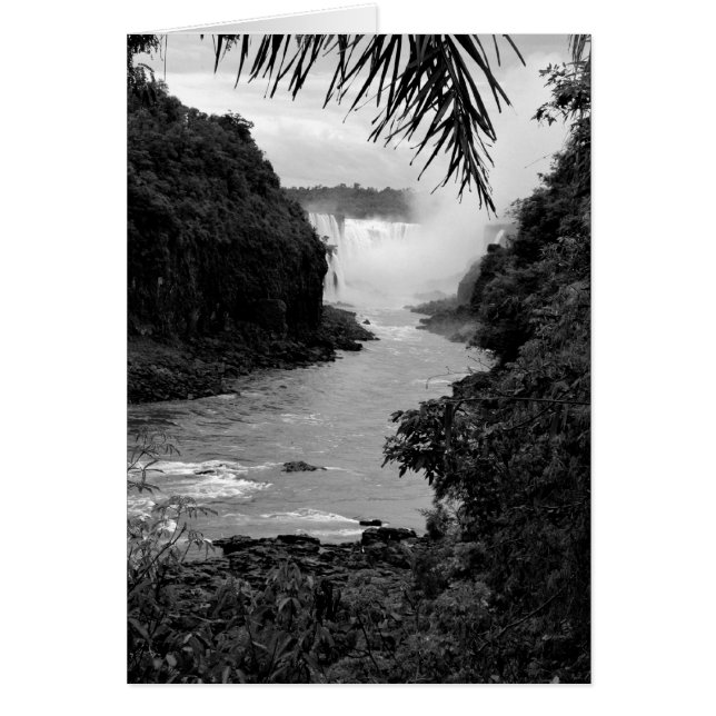 Treasure in the Jungle OBS Kort (Framsidan)