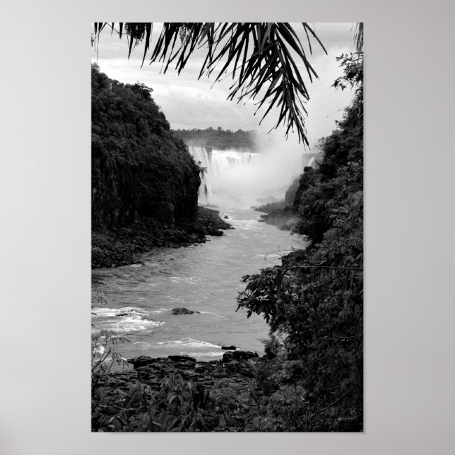 Treasure in the Jungle Poster (Framsidan)