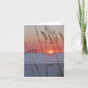 Treasure Island Sunset Note-kort Kort