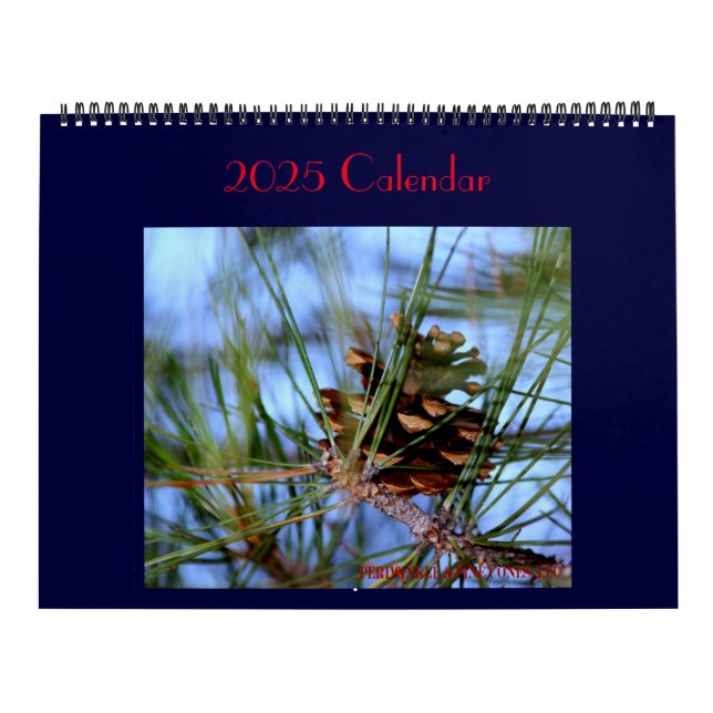 Treasures som hittas varje dag. Kalender (Omslag)