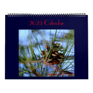 Treasures som hittas varje dag. Kalender