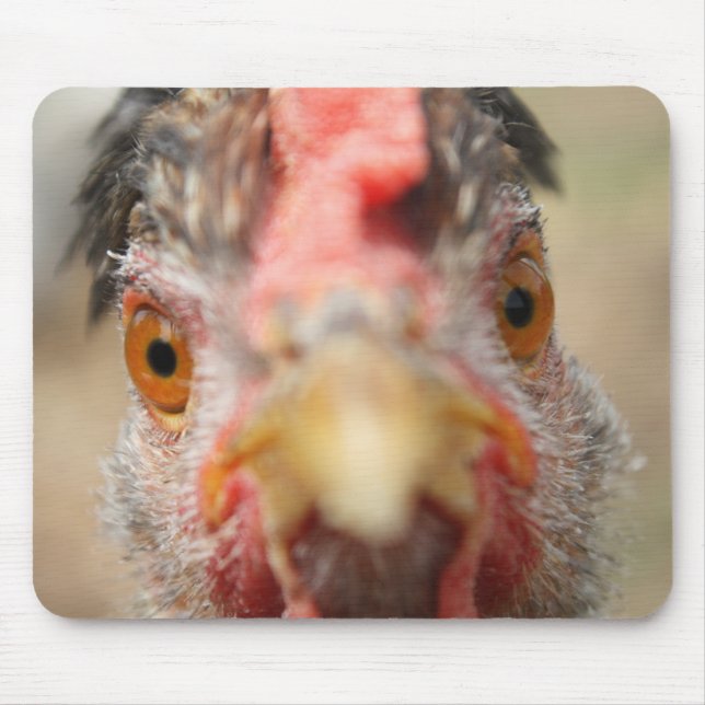 Treat? Musmatta (Framsidan)