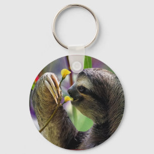 Tredimensionell Träd Sloth Nyckelring